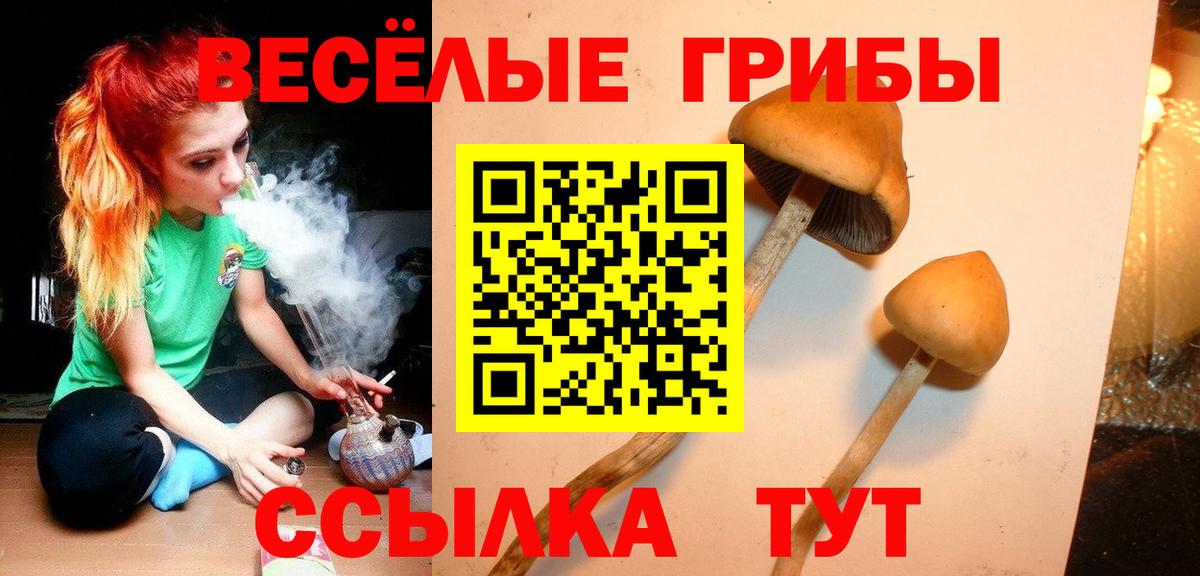 Псилоцибиновые грибы мицелий  Псилоцибиновые грибы мицелий  Альметьевск  Вход с VPN 