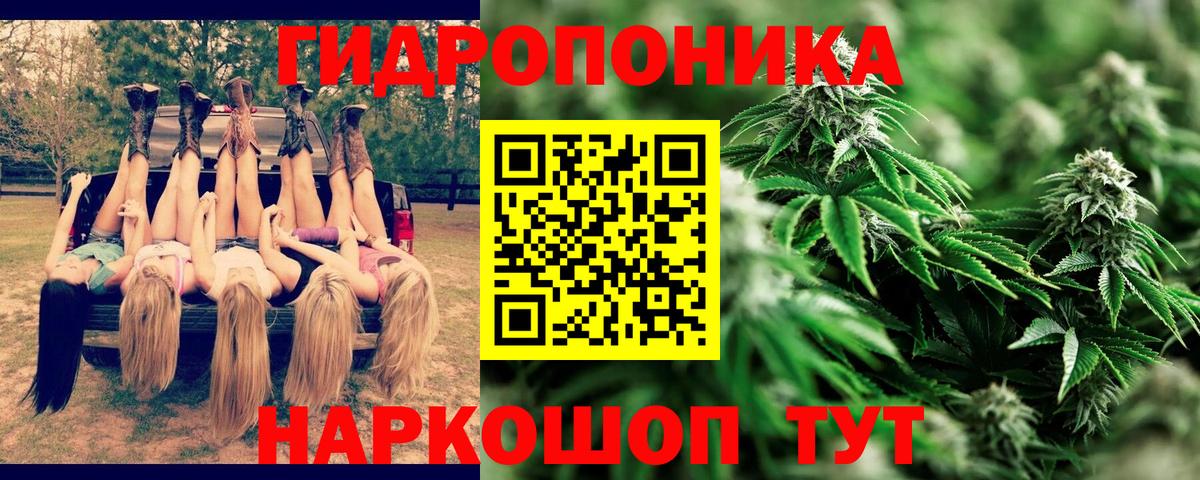 Бошки Шишки план Альметьевск